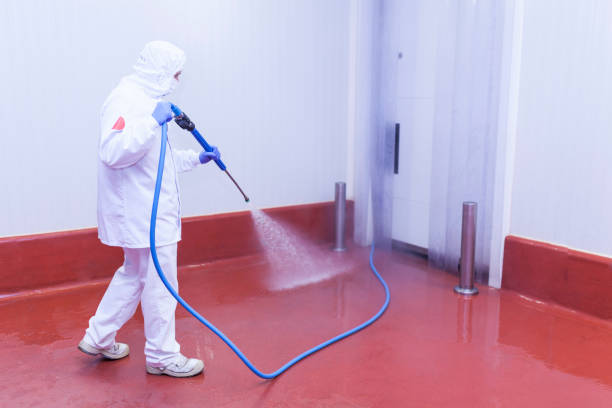 Best Sidewalk and Walkway Cleaning  in Parkersburg, IA