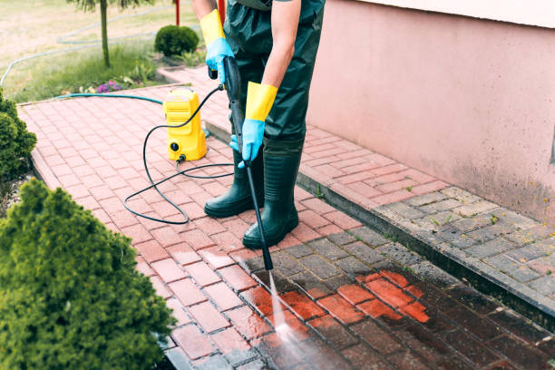 Best Soft Washing  in Parkersburg, IA