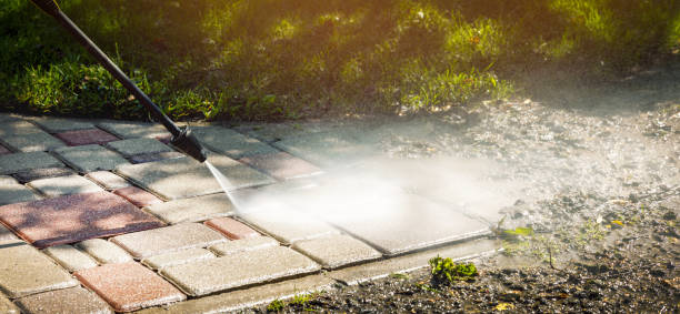 Best Roof Washing  in Parkersburg, IA