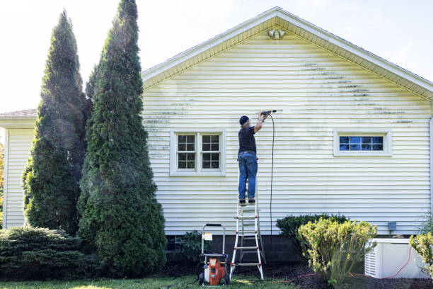 Best Patio and Deck Pressure Washing  in Parkersburg, IA